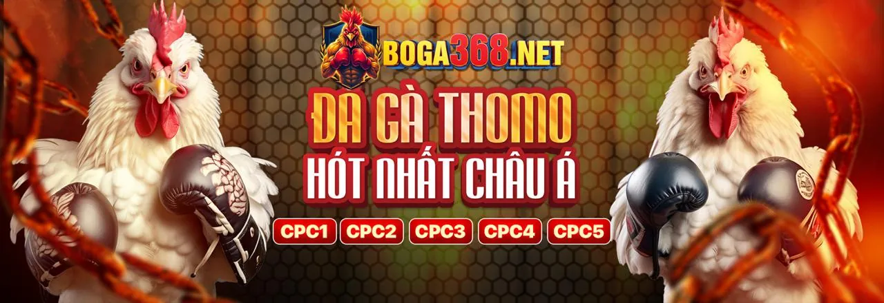 Đá Gà Trực Tuyến xn88com